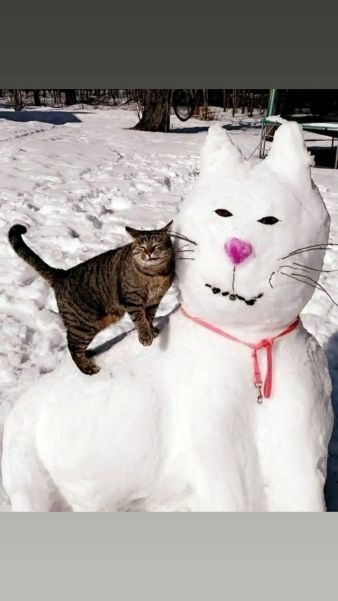 snowcat marie.jpg